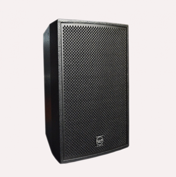 【TS-10】10寸全頻揚聲器音箱